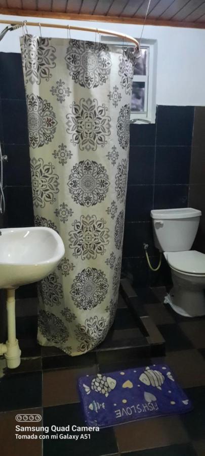 וילמסטאד Green Hill Guest House מראה חיצוני תמונה